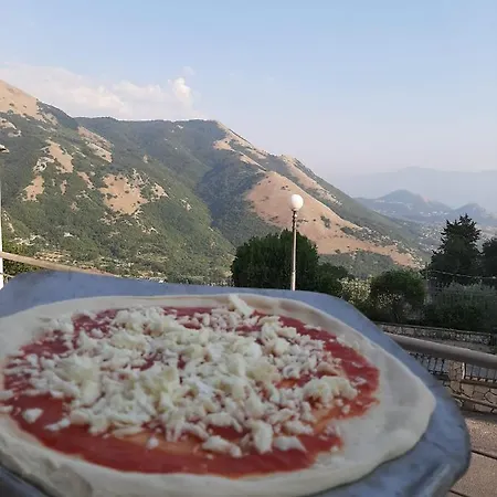 Tartufo Hotel 4*